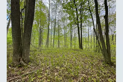 Lot 103 Fawn Circle, Harrison, MI 48625 - Photo 9