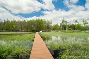 7170 Spring St, Alanson, MI 49706 - Photo 59