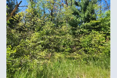 Vl S Delaware Avenue, Baldwin, MI 49304 - Photo 3