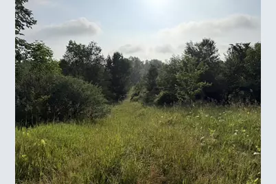 Parcel B E M-79, Nashville, MI 49073 - Photo 3