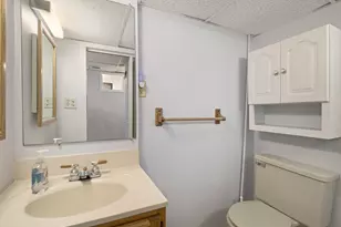 916 Brooks St, Ann Arbor, MI 48103 - Photo 41