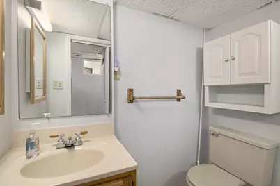 916 Brooks Street, Ann Arbor, MI 48103 - Photo 43