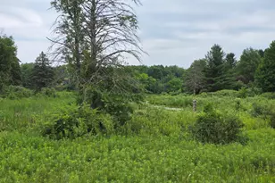 6172 Lake Rd, Barryton, MI 49305 - Photo 1