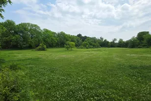 17281 Ely Rd, Manchester, MI 48158 - Photo 85
