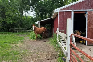 17281 Ely Rd, Manchester, MI 48158 - Photo 3