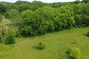 17281 Ely Rd, Manchester, MI 48158 - Photo 59