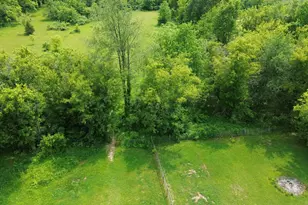 17281 Ely Rd, Manchester, MI 48158 - Photo 57