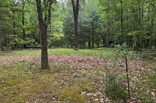 2848 W Pierce Dr, Brohman, MI 49312 - Photo 37