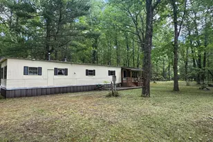 2848 W Pierce Dr, Brohman, MI 49312 - Photo 41