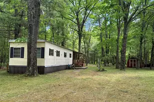 2848 W Pierce Dr, Brohman, MI 49312 - Photo 43