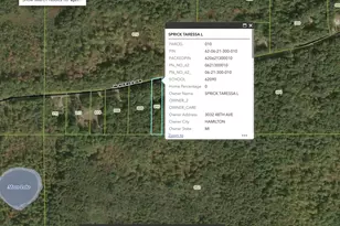 2848 W Pierce Dr, Brohman, MI 49312 - Photo 3