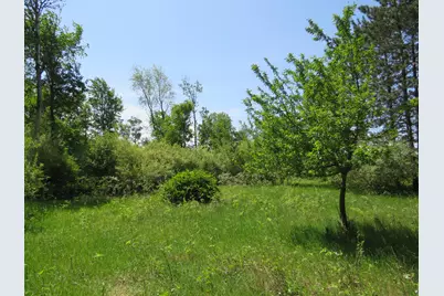 Vl Elkton Road, Owendale, MI 48754 - Photo 31