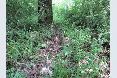 Vl Elkton Road, Owendale, MI 48754 - Photo 15