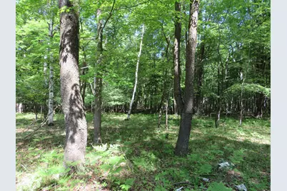 Vl Elkton Road, Owendale, MI 48754 - Photo 7