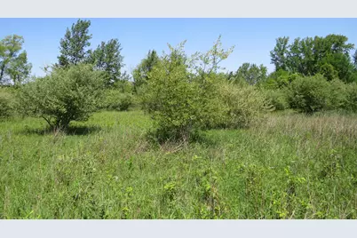 Vl Elkton Road, Owendale, MI 48754 - Photo 35