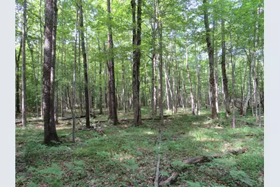 Vl Elkton Road, Owendale, MI 48754 - Photo 3