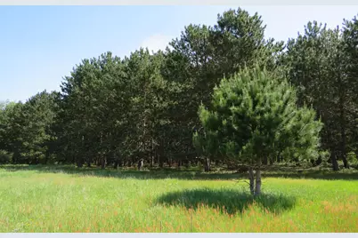 Vl Elkton Road, Owendale, MI 48754 - Photo 27