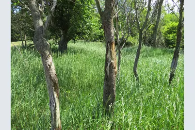 Vl Elkton Road, Owendale, MI 48754 - Photo 23