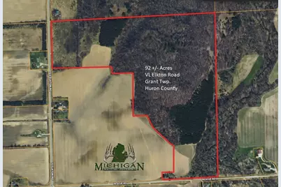 Vl Elkton Road, Owendale, MI 48754 - Photo 1
