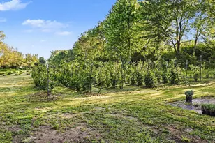 2175 E Hinchman Rd, Berrien Springs, MI 49103 - Photo 39