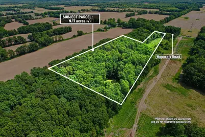 Vl Hopcraft Road, Onondaga, MI 49264 - Photo 1