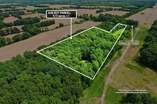Vl Hopcraft Rd, Onondaga, MI 49264 - Photo 1