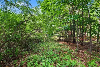 Vl Hopcraft Road, Onondaga, MI 49264 - Photo 5