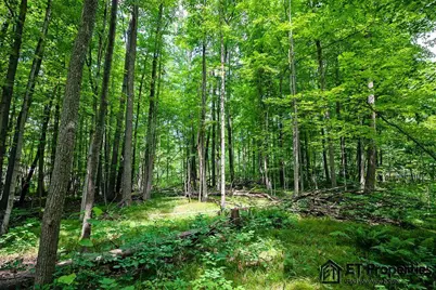 8371 14 Mile Road NE, Cedar Springs, MI 49319 - Photo 5