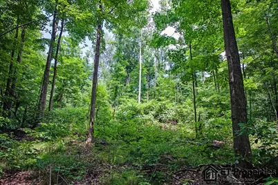 8371 14 Mile Road NE, Cedar Springs, MI 49319 - Photo 7