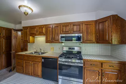 9111 Summit Avenue NE, Rockford, MI 49341 - Photo 57