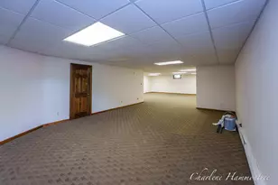 9111 Summit Ave NE, Rockford, MI 49341 - Photo 91