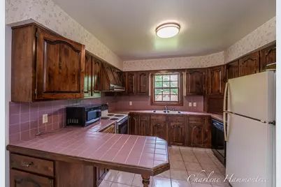 9111 Summit Avenue NE, Rockford, MI 49341 - Photo 73