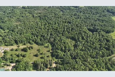 Dickson Road, Brethren, MI 49619 - Photo 23