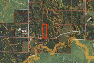 Dickson Rd, Brethren, MI 49619 - Photo 1