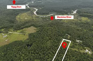 Dickson Rd, Brethren, MI 49619 - Photo 1