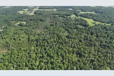 Dickson Road, Brethren, MI 49619 - Photo 3