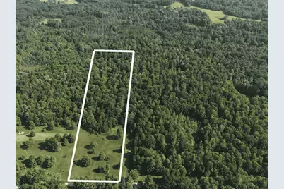Dickson Road, Brethren, MI 49619 - Photo 17