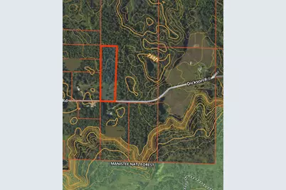 Dickson Road, Brethren, MI 49619 - Photo 9