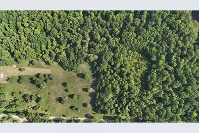 Dickson Road, Brethren, MI 49619 - Photo 15