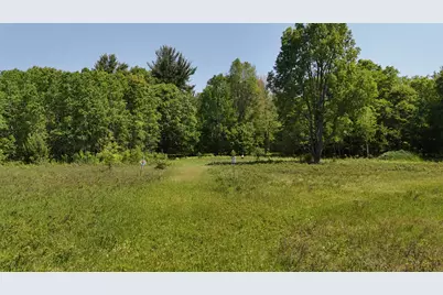 Dickson Road, Brethren, MI 49619 - Photo 9
