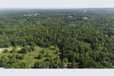 Dickson Road, Brethren, MI 49619 - Photo 15