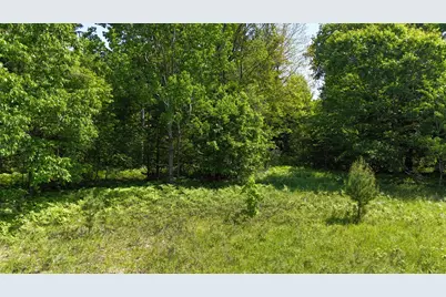 Dickson Road, Brethren, MI 49619 - Photo 5