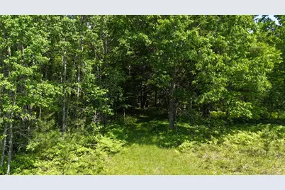 Dickson Road, Brethren, MI 49619 - Photo 3