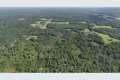 Dickson Road, Brethren, MI 49619 - Photo 17
