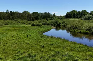 17274 Wilson Rd, Big Rapids, MI 49307 - Photo 39