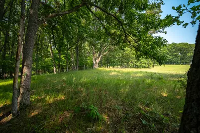 8161 N Hunters Ridge Drive, Irons, MI 49644 - Photo 3