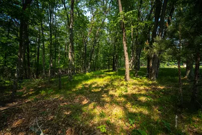 8161 N Hunters Ridge Drive, Irons, MI 49644 - Photo 21