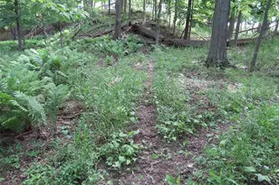 4670(B) Rescue Rd, Owendale, MI 48754 - Photo 53
