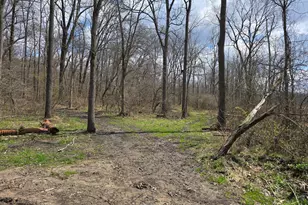1284 Maple Grove Rd, Jackson, MI 49201 - Photo 21