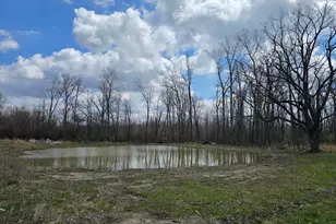 1284 Maple Grove Rd, Jackson, MI 49201 - Photo 37